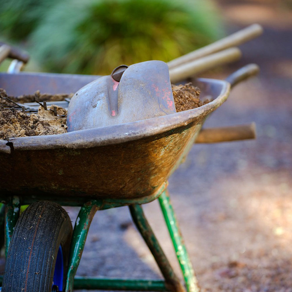 Social Gardening